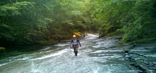 沢の上からの撮影。コマさんがゆっくり登ってきます。